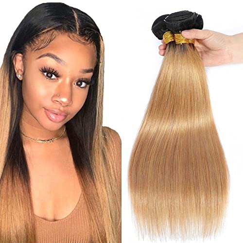 Ombre Blonde Bundles Honey Blonde Human Hair Bundles 1b27 Straigh Bundles 10 12 14 inch Unprocessed Brazilian Virgin Hair Bundles Honey Blonde Straight Bundles