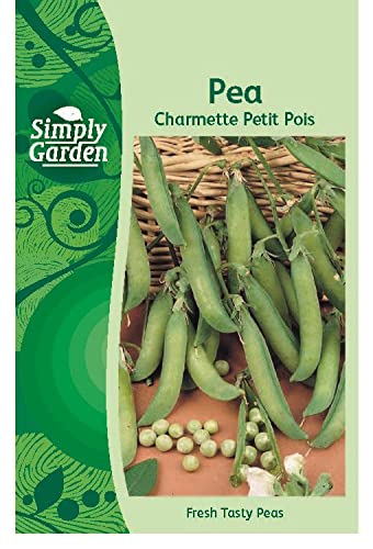 Pea Charmette Seeds Petit Pois Garden Peas Easy-to-Grow Vegetable Seeds for Garden Beds Pots & Allotments
