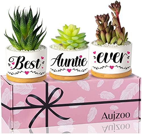 Aunt Gifts from Niece Nephew for Birthday - Best Aunt ever for Auntie Mothers Day Succulent Plant Pots Gift Ideas for Any Occasion, Arrive Beautiful Gift Boxes