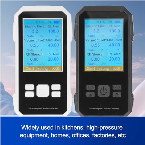 Verbessertes Modell VT ER2, Hochpräziser Elektromagnetischer Strahlungsdetektor, Elektrisches Feld, Magnetisches Feld, Hochfrequenz-Strahlungsdetektor (BLACK)