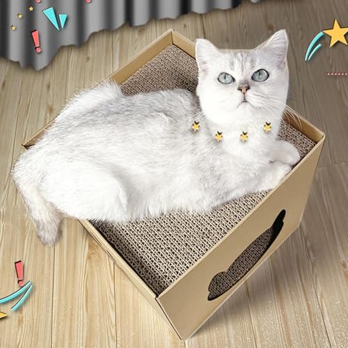 Recopilación de G de gato - 5 favoritos. 4 Imagen adicional
