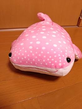 沖縄ジンベイザメ　くじぬいぐるみ Amazon.co.jp: 沖縄 美ら海水族館 ジンベエザメ ぬいぐるみ