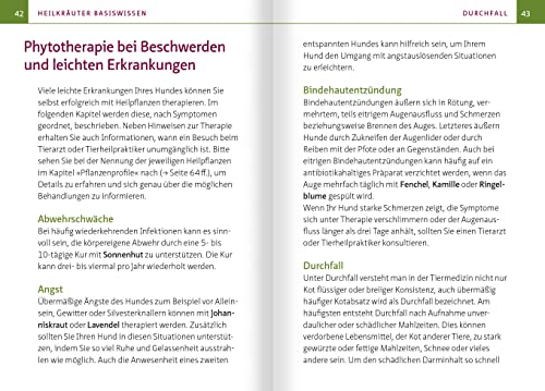 Grüne Hausapotheke für Hunde. Kompakt-Ratgeber: Heimische Heilpflanzen sicher anwenden