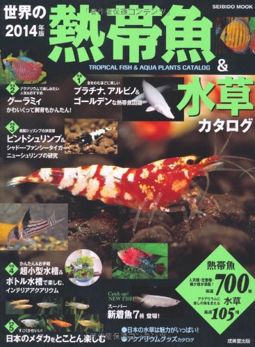 ゆっくり 珍 生物図鑑 第15回 ドワーフ フェアリー ミノー ニコニコ動画