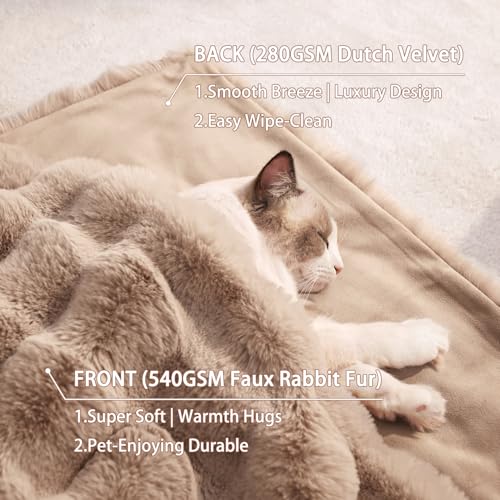 Cat Blankets for Indoor Cats Super Soft Plush Faux Fur Kitten Blankets Machine Washable Reversible Pet Throw Protector for Couch Furniture 21