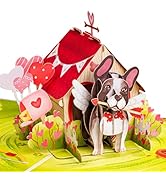 Amazon.com : Paper Love 3D Pup's Love Cabin Pop Up Card, with