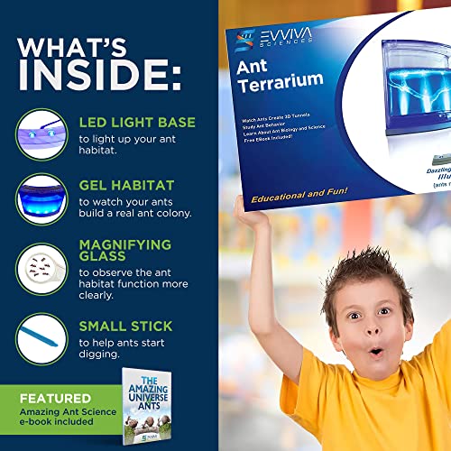 Evviva Ant Habitat W/Led Light. Enjoy A Magnificent Habitat. Great For Kids & Adults. Evviva Ant Ecosystem W/Enhanced Blue Gel. Educational & Learning Science Kit. Live Ants Not Included #TOP1