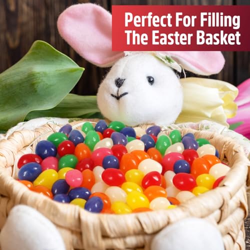 Jelly Beans Candy Assorted Tantalizing Flavors for Kids and Adults, Individually Wrapped Colorful Vibrant Candy Jelly Beans for Basket Treats, and Events, 2-Pack, 9oz