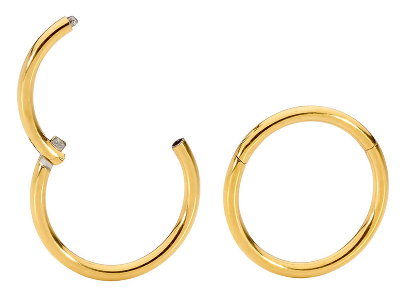 365 SLEEPERS 2PCS 18G Surgical Steel 6mm - 10mm Hinged Hoop Segment Nose Septum Tragus Helix Lip Ring Sleeper Earrings