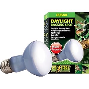 Exo Terra PT2195 breedspectrum daglichtlamp warmtestraler daglicht baski spot 25W