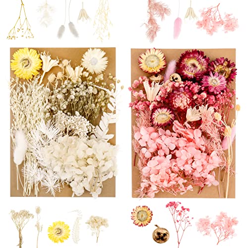 Yorgewd 2 Ensembles de Fleurs Séchées Naturelles, Fleurs Mélangées Naturelles, Ensemble de Fleurs Séchées Naturelles Bricolage pour Autocollants pour Bricolage Résine, Scrapbooking(Blanc Rose) Cover