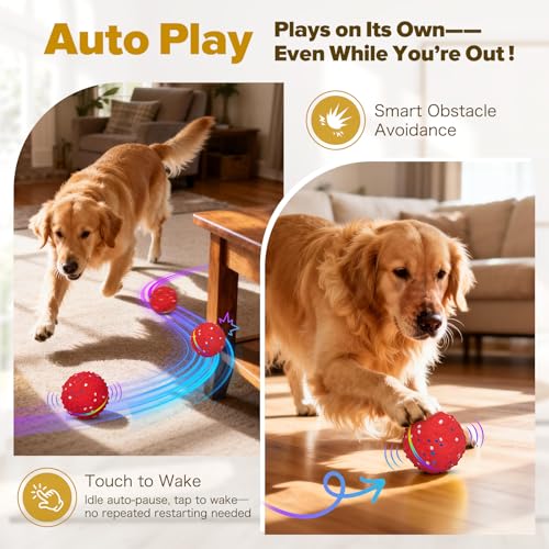 Balle interactive pour chien balle auto-roulante rebondissante Flashseen - 4