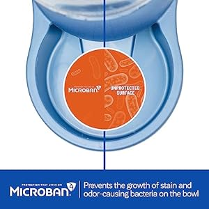 Petmate replendish feeder automatic cat and dog feeder pearl peacock blue 10 lb made in usa  urban country home decor