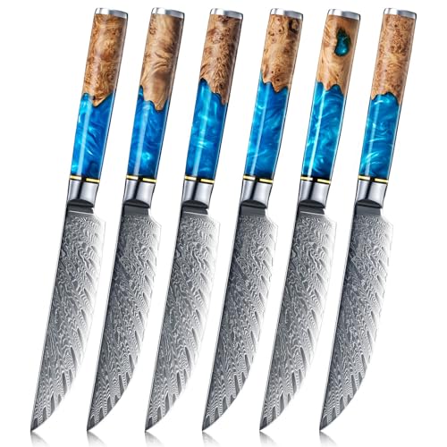 SENKEN Tsunami 6-Piece Luxury Set