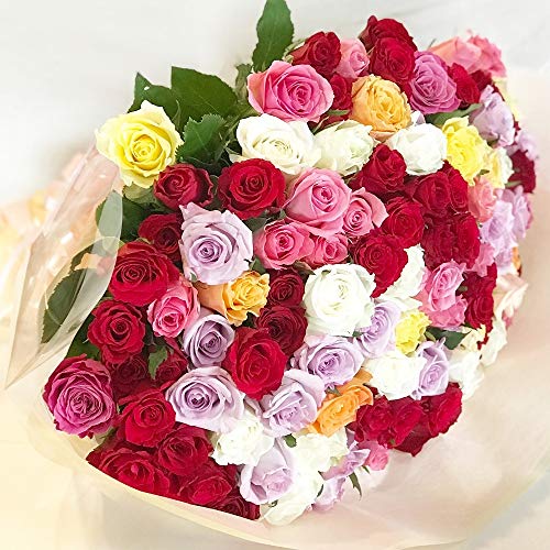 BisesFlower(rYt[)yN[֏oׁzo ԑ 108{ ~bNX v|[Y TvCY  [Y KN u[P EFfBO v[g  LO  ỏԑ a KN̉ԑ