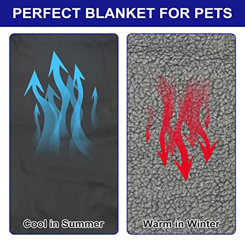 PokeAir Hundedecke Outdoor Wasserdicht Waschbar Haustier Decke für Unterwegs Camping Hund Katze Mat Wärmende Decke mit Tasche Hundebett Hundematte Große Reisedecke 100x70cm mit Tierhaarentferner