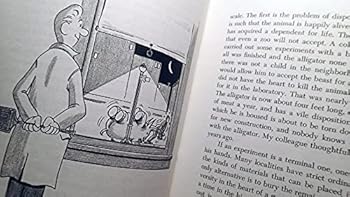 Paperback To Know a Fly Book