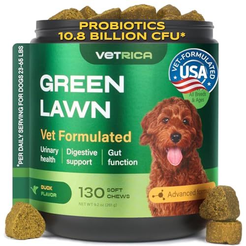 Dog Urine Neutralizer for Lawn with Probiotics - 234 Billion CFU per Pack - Grass Savers for Dog Urine with Digestive Enzymes, Cranberry - Green Grass Dog Chews for Gut Health Support - 130 Treats