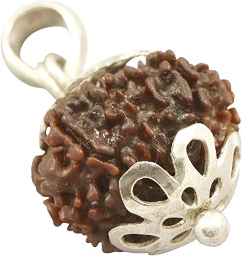 Alaska Gems Gallery Original 13 Mukhi Rudraksha with Pendant Lab Tested Genuine Nepal Bead 13 मुखी रुद्राक्ष नेपाली ओरिजिनल रुद्राक्ष लॉकेट for Men & Women