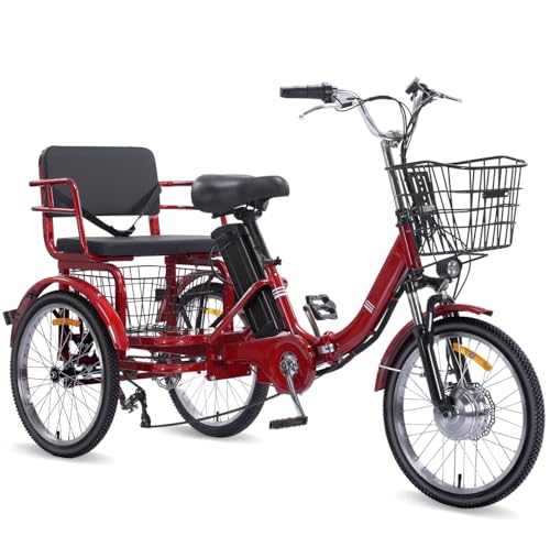KAKIGO 2 Seater Electric Tricycle for Adults, Peak...