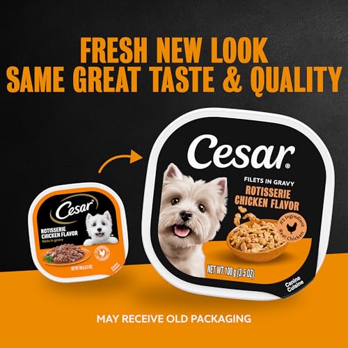 Image of Cesar Filets in Gravy Wet Dog Food, Rotisserie Chicken, 3.5 oz, 24 Count | Real chicken #1 ingredient, easy to digest, no fillers or artificial flavors, can be used as food topper, easy peel trays