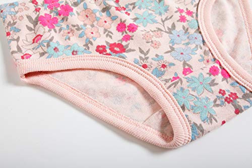 Sladatona Little Girls' Soft Cotton Underwear Bring Cool, Breathable Comfort Experience Panty 3-4T Mixed Colour… #TOP3