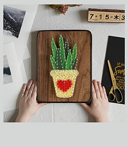 Image of BAZIMA DIY String Art Kit for Beginner, DIY Aloe Craft Kit,Unique Gift,Craft Kit for Holidays