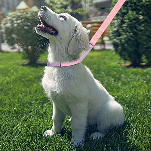 Xs Dog Collar - Nylon Pink Dog Collar And Leash Set, Comfortable Puppy Collars For Small Puppies With Buckle For Small Boy And Girl Dogs, Adjustable Soft Pet Cat Collars, And Padded Handle Dogs Leash #TOP4