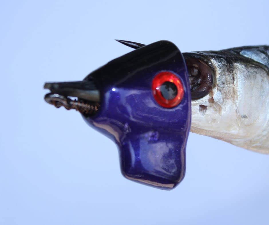 Top 20 Best King Mackerel Lures Reviews BNB