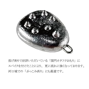 オオモリ セイコさん専用 61x+BIau-PL._AC_SX679_.jpg