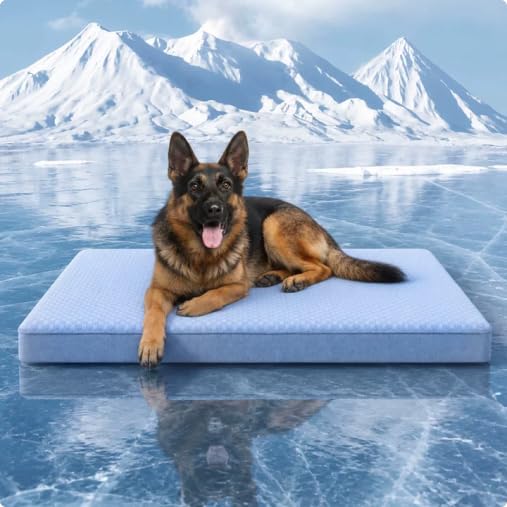 Lit orthopédique pour chien XXL en fausse fourrure et mousse mémoire de forme