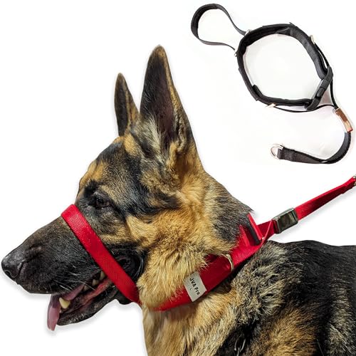Head Halter for Dogs The 15 best products compared Wild Explained