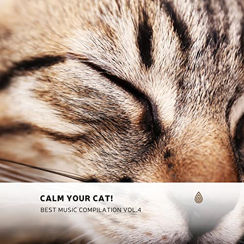 Calm Your Cat! Vol.4