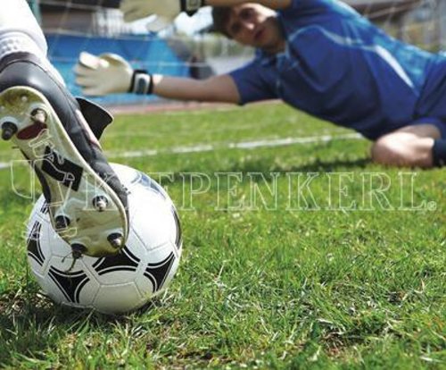 Kiepenkerl RSM 3.2 Profi Sportrasen | 10kg ohne Poa pratensis