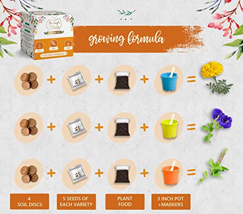 Bombay Greens 3 in 1 Temple Offerings Gardening Kit | Grow Your Own Flowers Kit - Tulsi Seeds, Marigold Seeds & Butterfly Pea Flower Plant Seeds | DIY Kit of Flower Seeds for Home Garden | Combo Seeds
