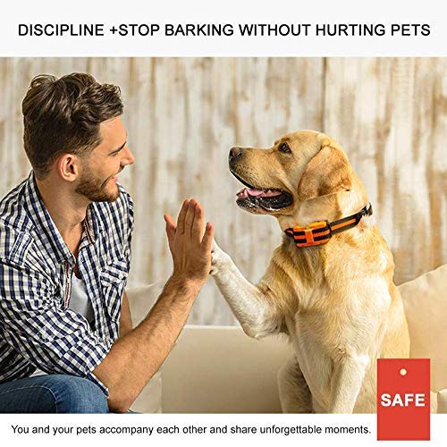 image for GLEMEB Shock Collars for Dogs with Remote,Rechargeable Dog Bark Contro