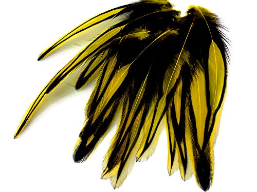 10 Pieces - Sunshine Yellow Laced 4-7" Long Rooster Cape Feathers Fly Tying Whiting Blw Rooster Saddle | Moonlight Feather #TOP4