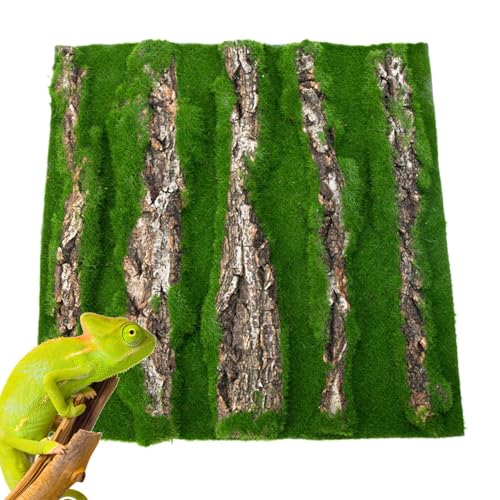 Antecedentes de corcho para Terrario - Decoración de viviendas de reptiles | Fondo de corteza con espuma artificial, accesorio natural para lagarto, serpiente, camaleón, gecko, dragón barbudo y anfibi