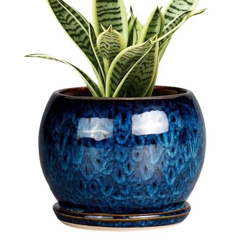 SQOWL 6 Inch Plant Pot - Ceramic Planter Pot with Drainage Hole and Saucer, Succulent Pot Round Flower Pot for Indoor Plants Outdoor, Blue