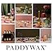 Paddywax Artisan Apothecary Scented Candle with Lid in Reusable Glass Jar, Clean-Burn Soy Candle with Approx. 54 Hour Burn Time, Sea Salt & Sage, 8 oz.