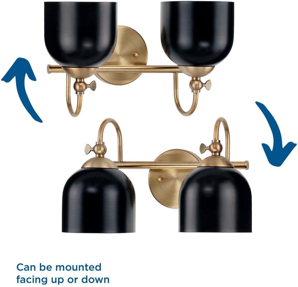 Progress Lighting Dalton Collection 15 in. 2-Light Vintage Brass Matte Black Vanity Light