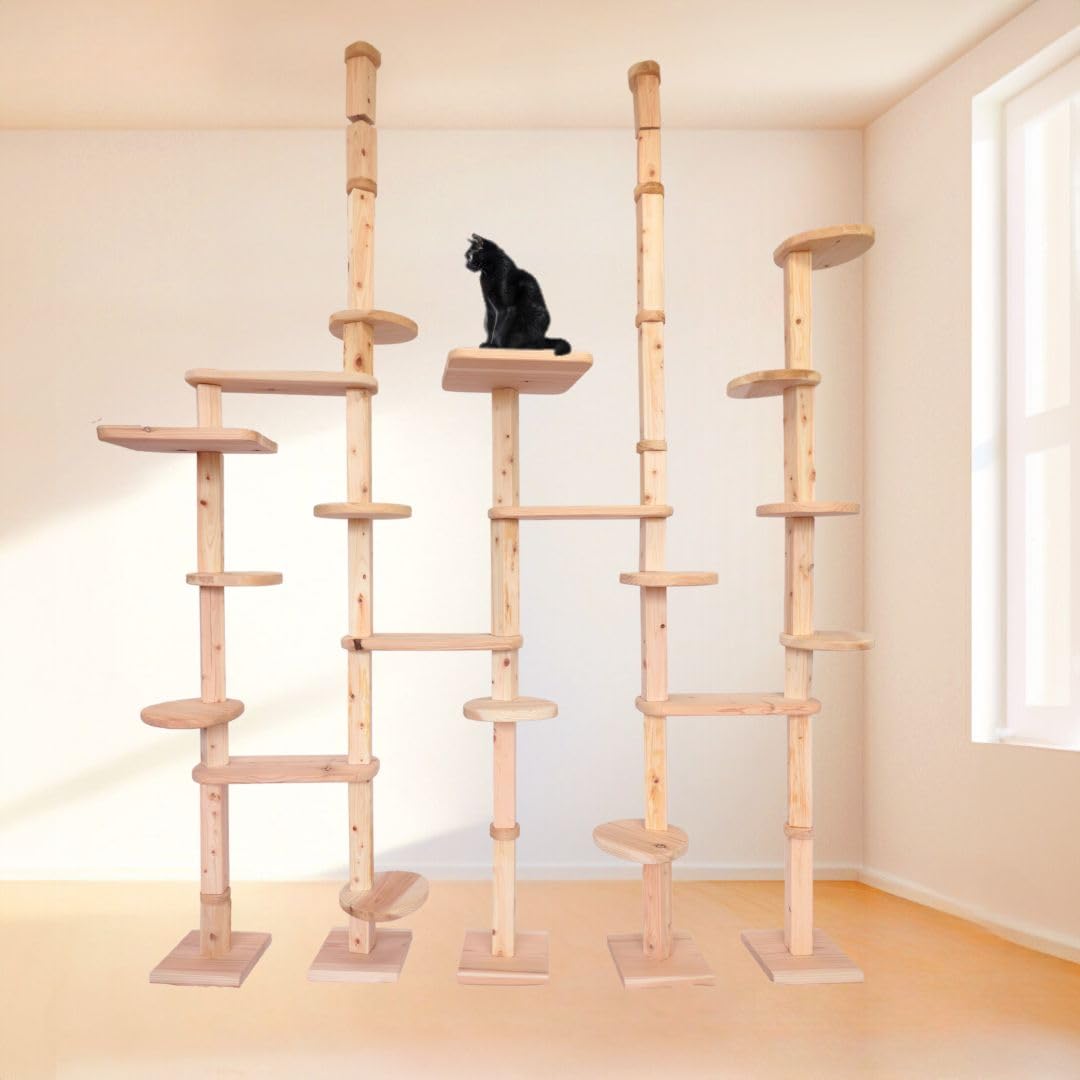 Amazon | 建築家考案で画期的!！【ねこハウスシリーズ 国産杉と桧