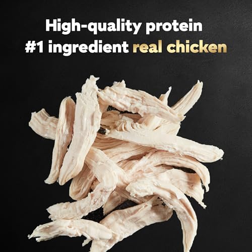 Image of Cesar Filets in Gravy, Adult Wet Dog Food, Rotisserie Chicken Flavor, Wet Food for Dogs, 3.5 oz Trays, 24 Count (Pack of 2)