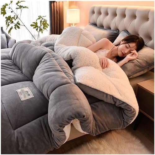 ZTGL Winter Cotton Duvet, Fluffy Plush Lamb Quilts, Winter Warm, Double-Sided Velvet Comforter Core, Super Soft Warm Plush Thickened Blanket Bedding for Cold Weather,C,200x230cm(4kg)