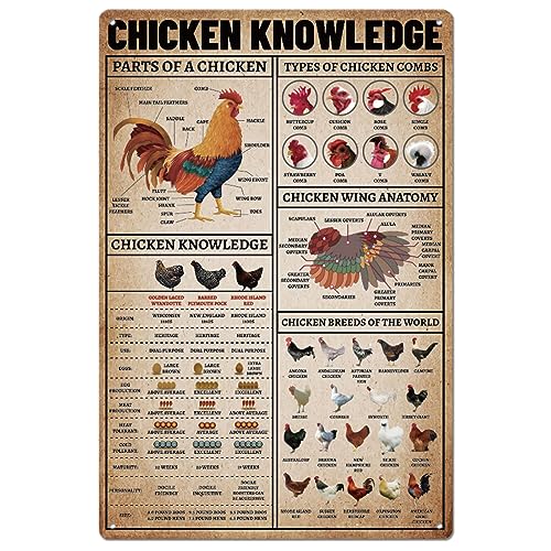 Farm chicken knowledges cartel de chapa de metal placa de pintura de hojalata de granja vintage póster de arte de pared cartel de aluminio de moda antigua 20 × 30 cm