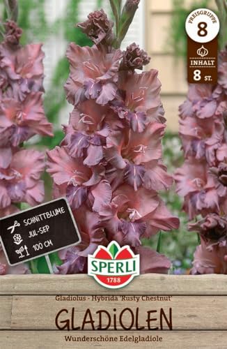 Sperli Gladiole Rusty Chestnut - Elegante Blumenzwiebeln für den Garten, Ideal als Schnittblume...
