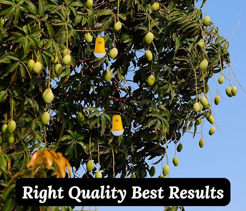 Image of Chipku Glass Pheromone Trap with Fruit Fly Lure - Pack of 100 for Bactrocera Dorsalis Control in Mango, Guava, Papaya, and Other Fruit Crops | Orchards & Agriculture