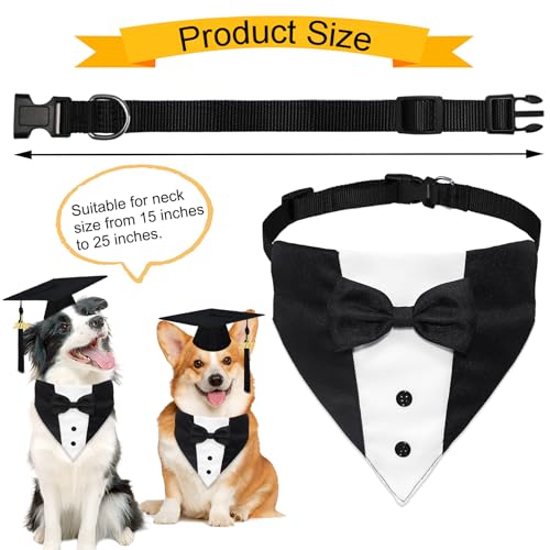 Disfraz para perro con gorra y collar de graduación miniatura 4