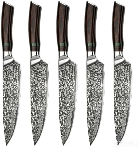 Felvixanor 5-Piece Damascus Chef Knife Set, 10CR15MOV 67-Layer Steel Knives