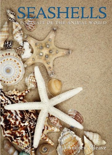 Seashells (A Portrait of the Natural World)